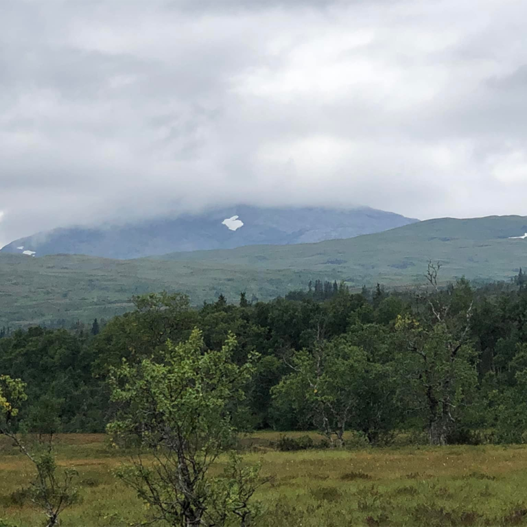 fjeld